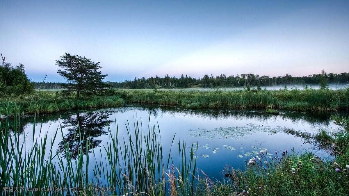 风景免费下载 背景 壁纸 风景 湖 湖边 绿草 清新 背景图片