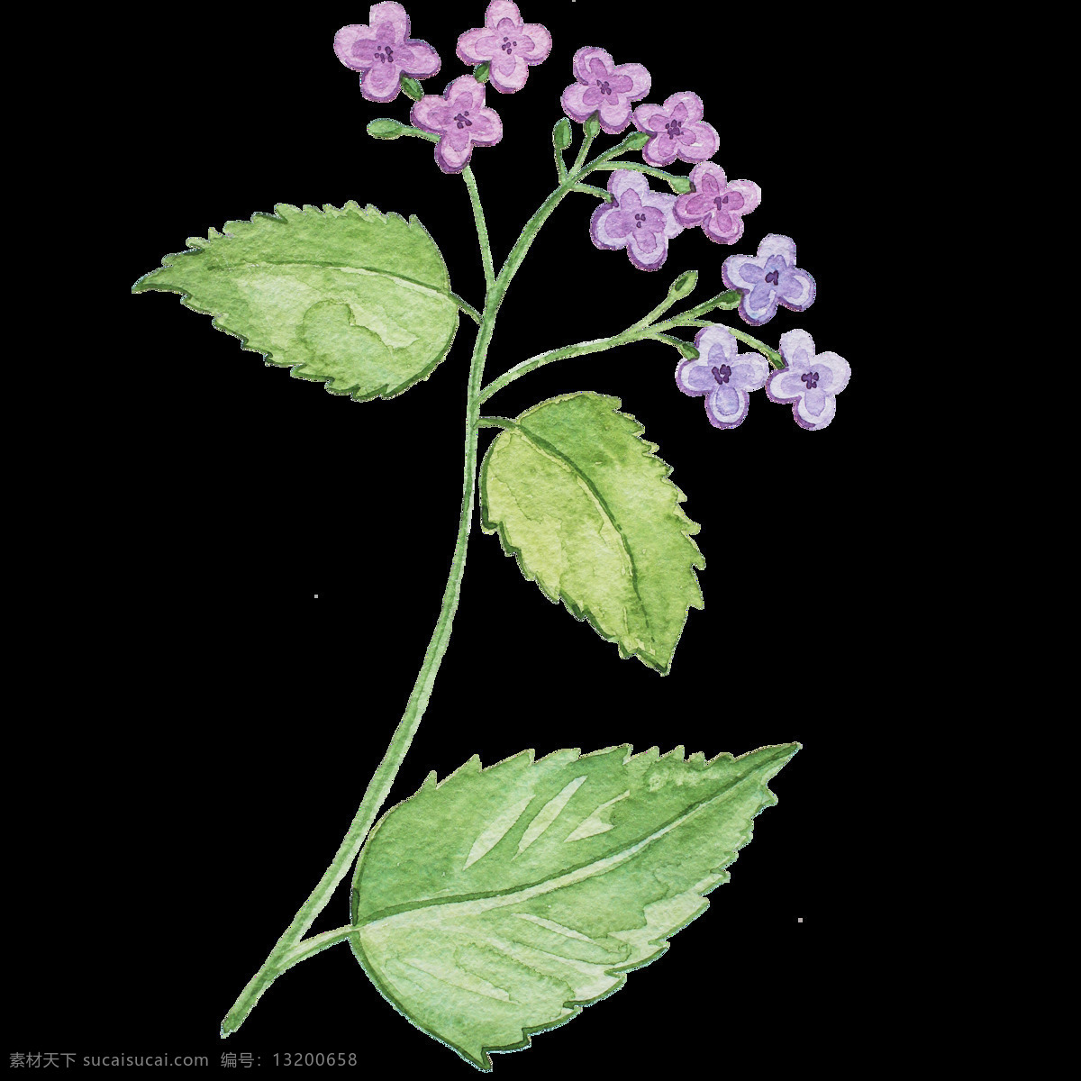 唯美 绿叶 彩绘 粉色 小花 高清 手绘 花朵