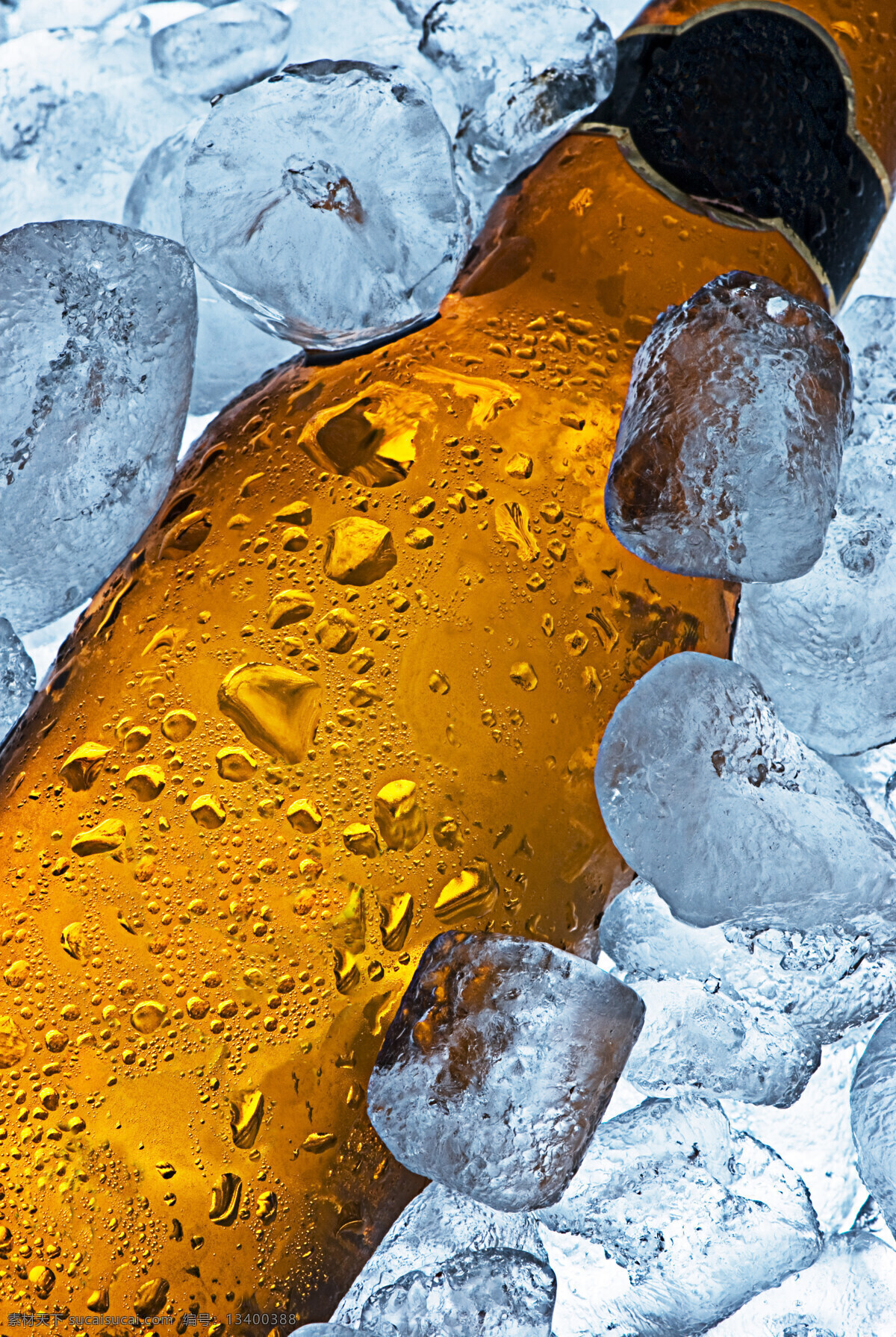 冰块 堆 里 瓶 啤酒 瓶子 冷饮 一瓶 一瓶子 玻璃瓶 水珠 饮料 许多冰块 冰块堆 黄色瓶子 高清图片 酒类图片 餐饮美食