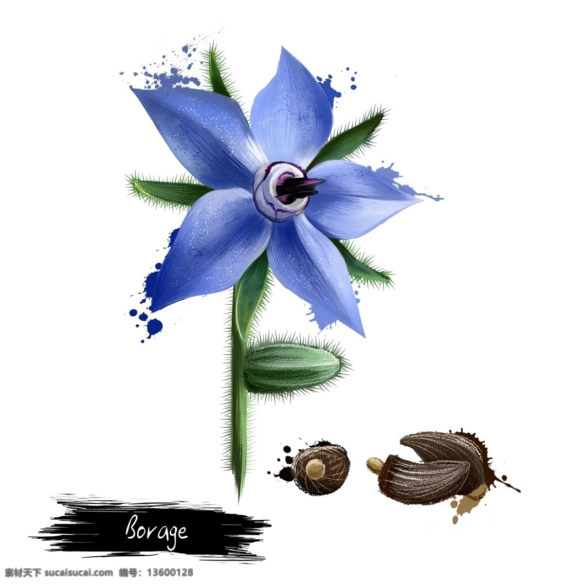 水彩 手绘 紫色 花 源文件 花茎 绿叶 花朵 花刺 装饰图案