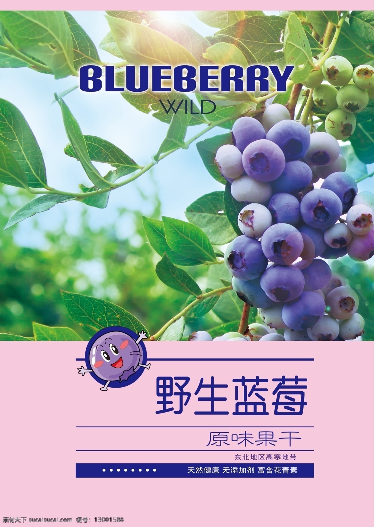 蓝莓 卡通 通用 野生 包装 分层 人物 绿色