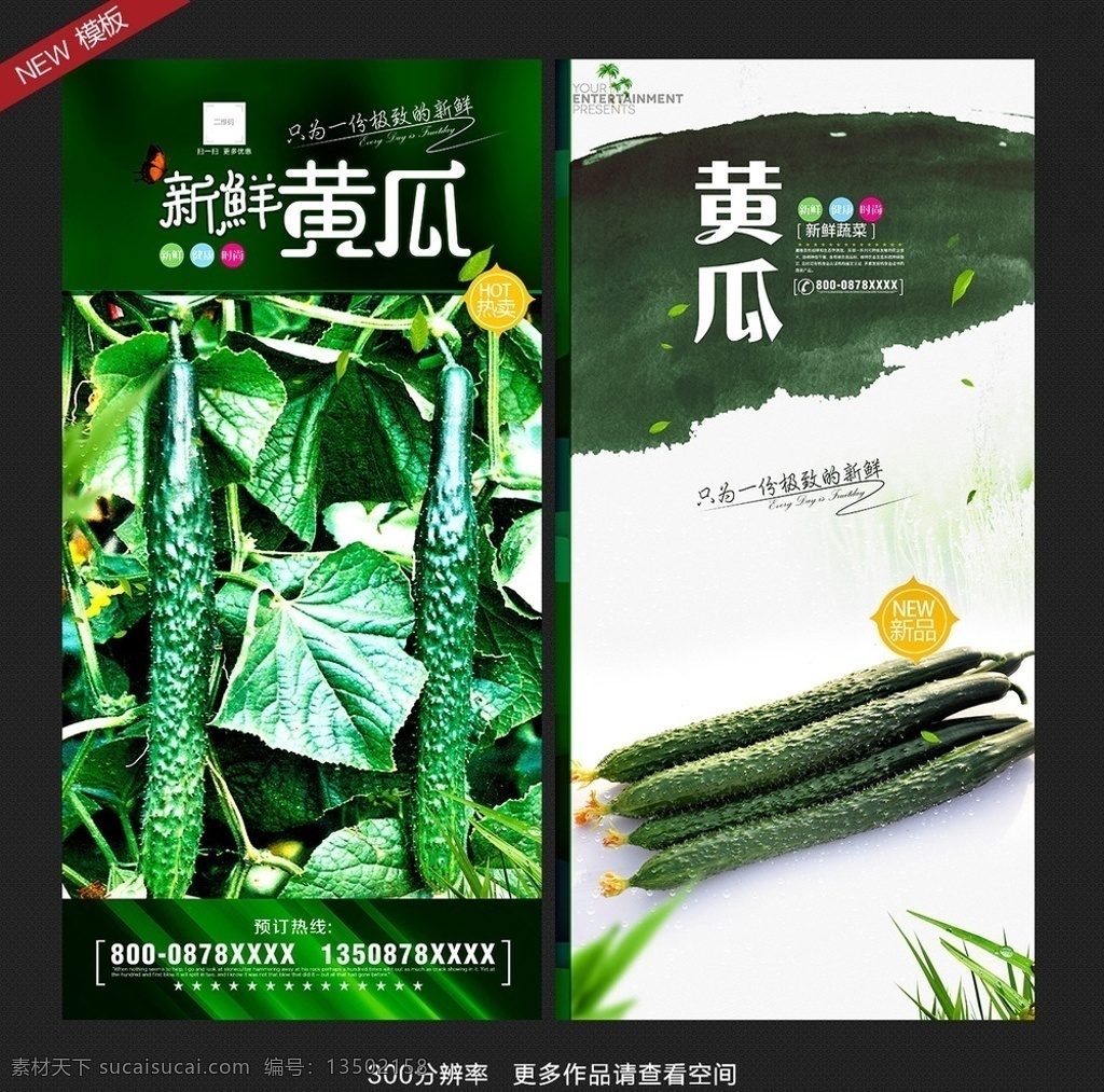 黄瓜 黄瓜海报 黄瓜蔬菜 新鲜黄瓜 小黄瓜 黄瓜上市 超市黄瓜 黄瓜品种 黄瓜绿色 有机黄瓜 黄瓜展架 黄瓜批发 黄瓜种植 黄瓜大棚 黄瓜农夫 黄瓜水果 蔬菜 绿色蔬菜 菜市场 蔬菜超市 蔬菜海报 蔬菜饮食 蔬菜素材 蔬菜配送 蔬菜生鲜 黄瓜种植园 黄瓜基地 生鲜超市 卖菜网 菜园子