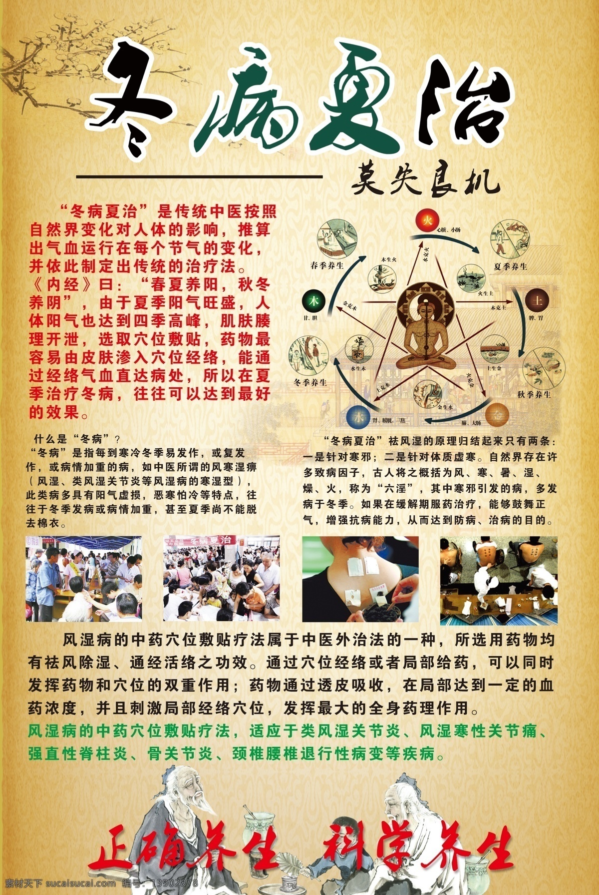 分层图 冬病夏医 海报 宣传 五行图 美观 分层