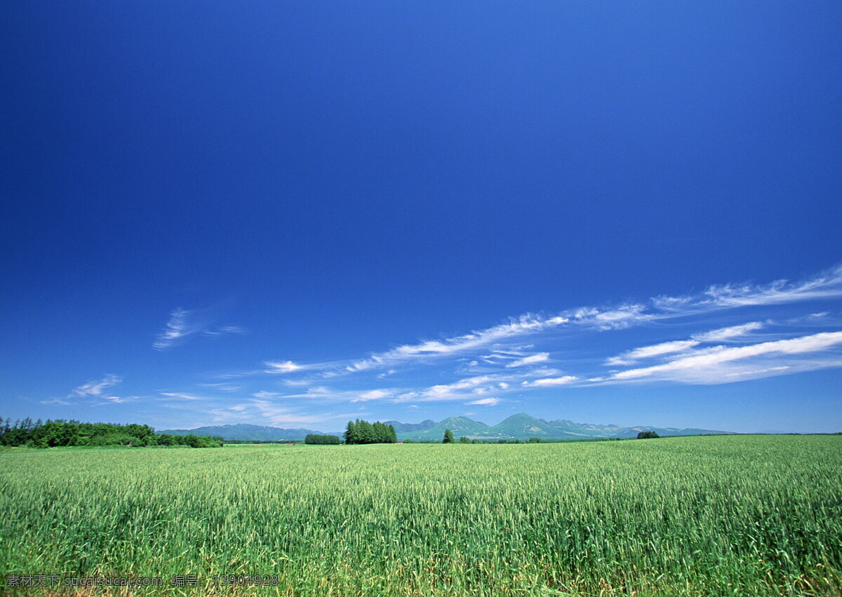 田园风光 背景 风光 风景 摄影图库 天空 田园 自然风景 自然景观 生活 旅游餐饮