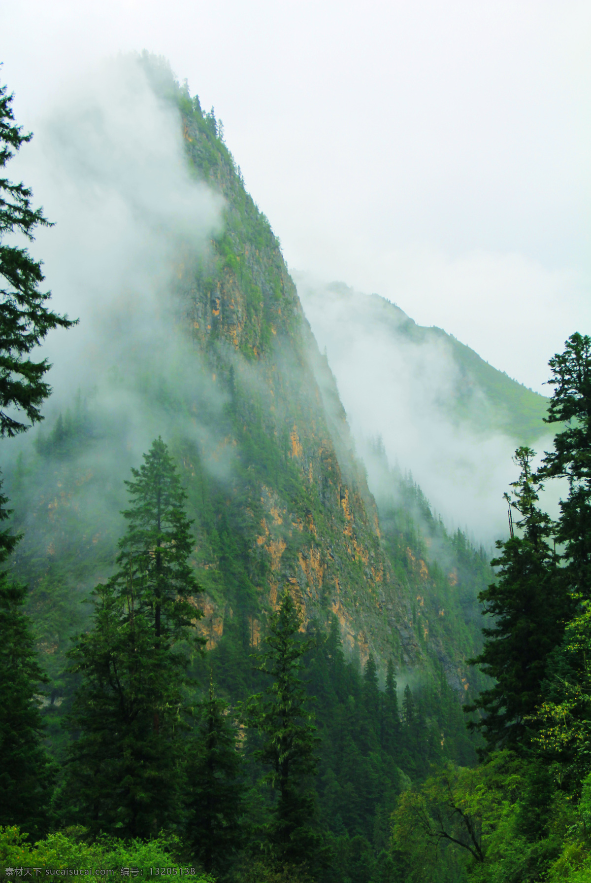 云中山 九寨沟 箭竹 大海 瀑布 绿水 山石 绿树 自然风景 自然景观 山水 云雾 九寨沟风光 国内旅游 旅游摄影