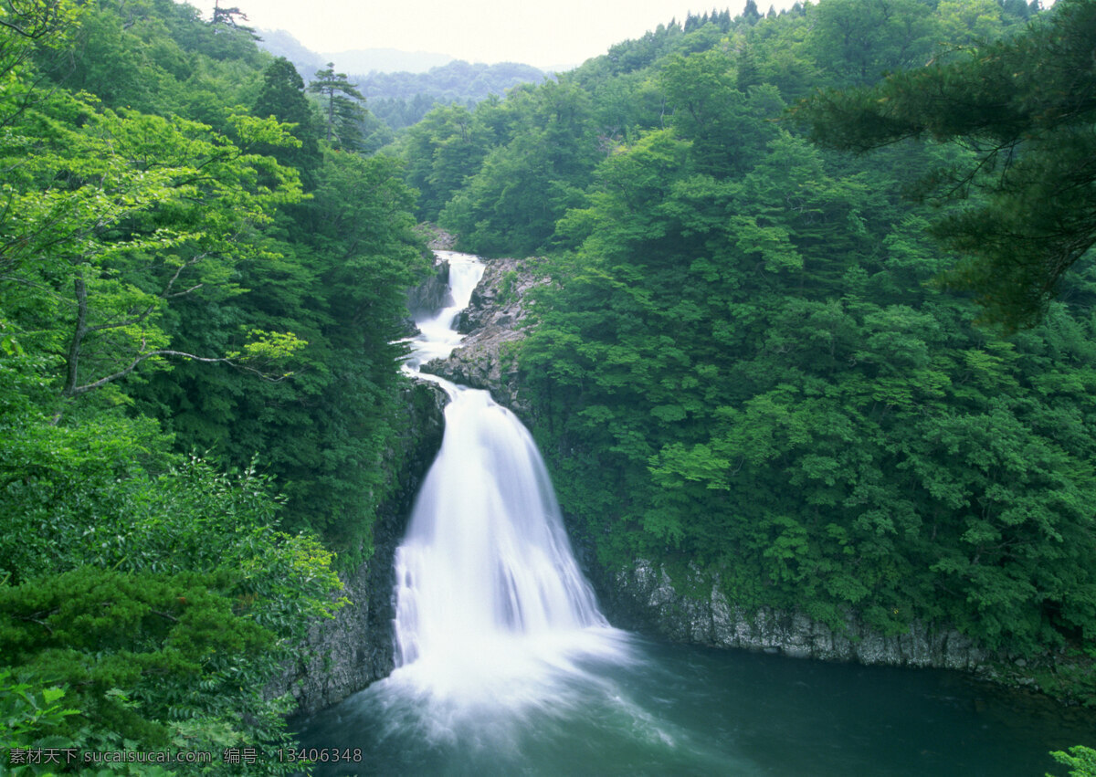 树免费下载 风景 山水风景 摄影图 树 植物 自然景观 水 家居装饰素材 山水风景画