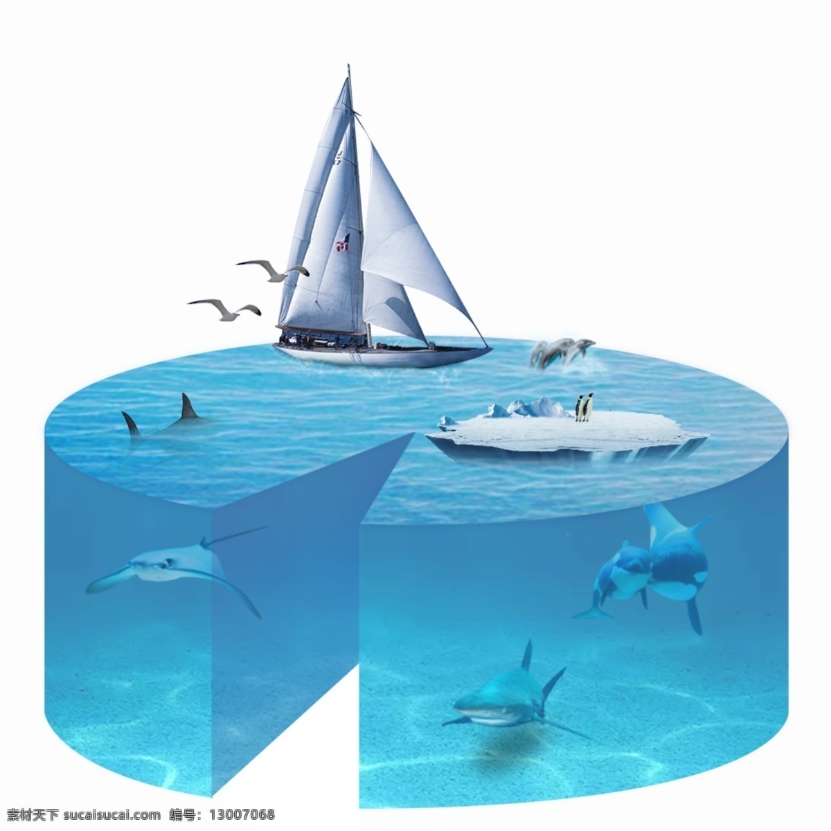 海洋 合成 海报 公益 广告 保护 合成海报 保护海洋 psd源文件 海洋生物