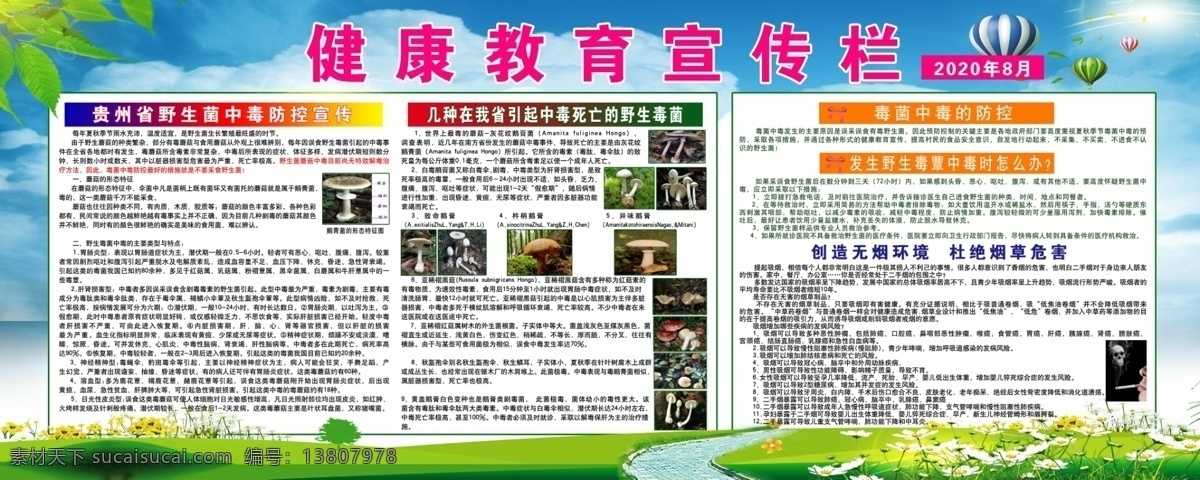 贵州省 野生菌 防控 宣传 展板 野生菌中毒 健康教育宣传 野生菌展板 野生菌防控 毒菌防控