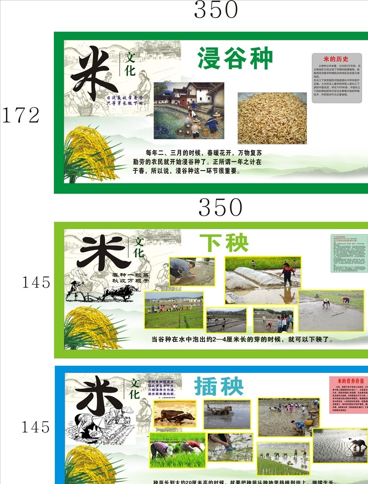 米文化 米 浸谷种 下秧 插秧 勤劳 俭朴 室外广告设计