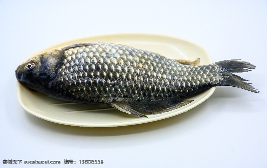 鲫鱼 生物 水生生物 水产品 海产品 鱼类 海鲜 狗杠鱼 推浪鱼 沙逛鱼 地龙鱼 天浪鱼 光鱼 海鱼 新鲜 动物 海洋动物 室内 食材 食物 待加工 烹饪 野生鱼 捕捞 特写 黑色背景 容器 简单背景 白瓷盘 瓷器 整条鱼 饮食 营养丰富 中国 葱 大葱 蒜 大蒜 辣椒 红色 辛辣 佐料 调料 餐饮美食 食物原料