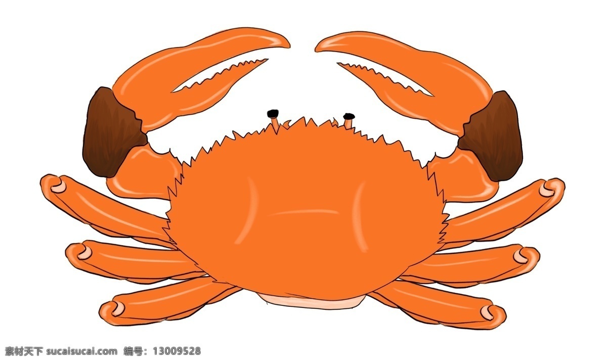 手绘 大闸蟹 美食 插画 秋季 小动物 动物 螃蟹 手绘大闸蟹 美食插画 大蟹钳 毛蟹 帝王蟹 大号的螃蟹