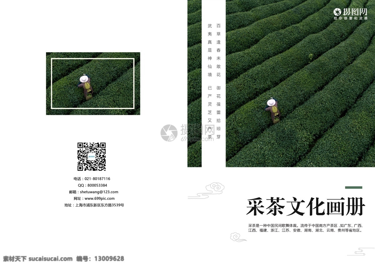 采茶 文化 画册 封面 春茶 茶叶 茶艺 茶道 茶文化 画册封面 传统文化