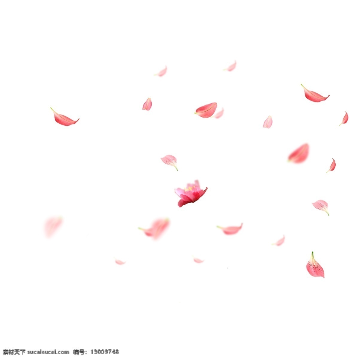 插画 花枝 叶子 唯美 花边 水墨婚礼 春天 夏日 花纹 花儿 春暖花开 花朵 婚礼设计 婚礼素材 婚礼 结婚 夏天 素描花 背景 水彩花 水彩 卡通 卡通印花 服装印花 印花 手绘花鸟 花海 繁花 花丛 清新花朵 植物背景 绿色植物 浪漫 花diy 植物