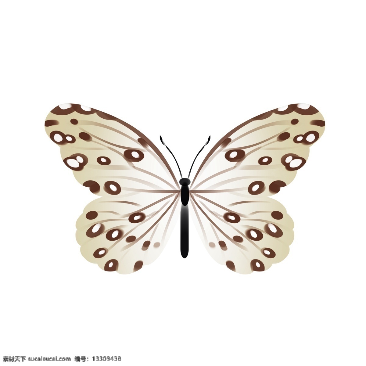 白色 蝴蝶 卡通 插画 白色的蝴蝶 卡通插画 动物插画 蝴蝶插画 动物蝴蝶 昆虫 益虫 好看的蝴蝶