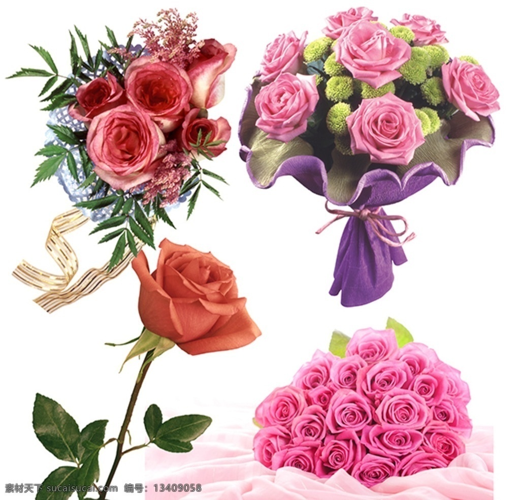 粉红玫瑰 玫瑰花素材 红玫瑰 玫瑰特写 玫瑰花束 情人节素材 爱情素材 花卉植物 分层