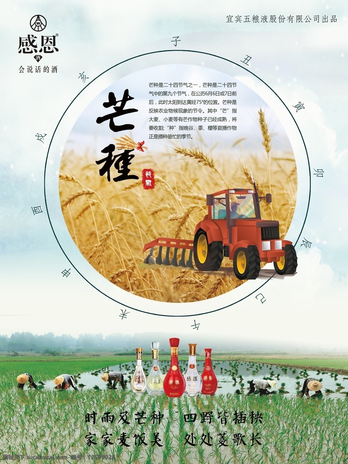芒种节日海报 芒种 24节气 酒