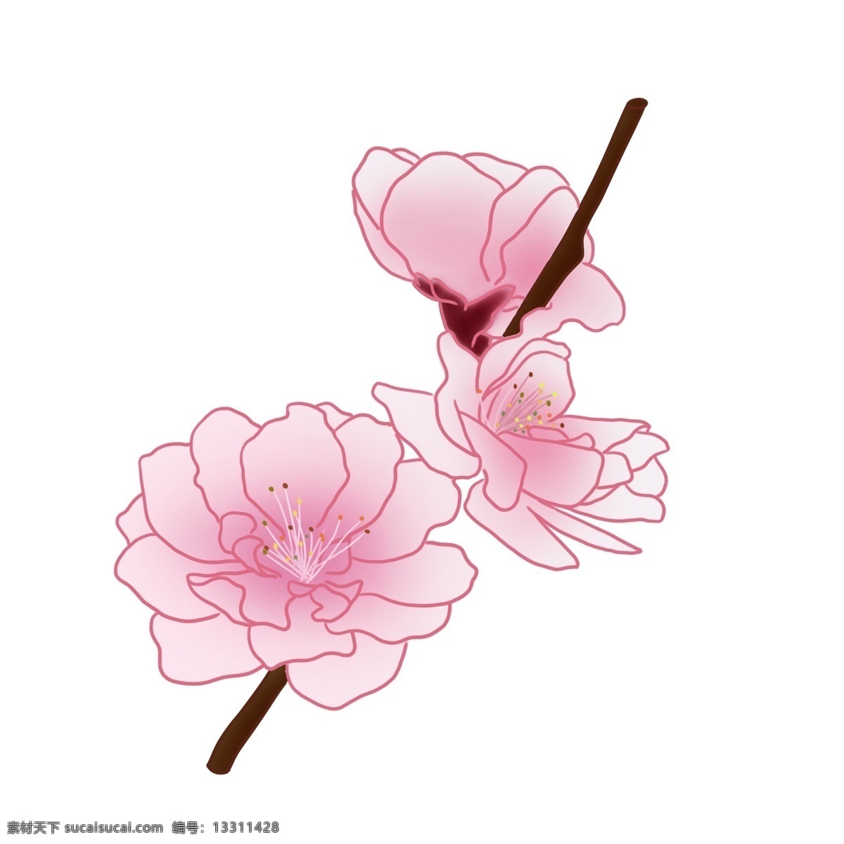 漂亮 桃花 卡通 插画 漂亮的桃花 卡通插画 桃花插画 桃花花枝 花朵 鲜花 花瓣 好看的桃花