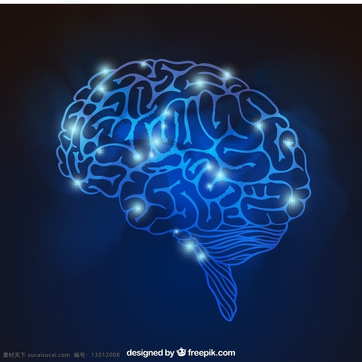 聪明的大脑 抽象 大脑 医学 光 蓝 人 霓虹 精神 知识 明亮 解剖 闪亮 智能 神经 黑色