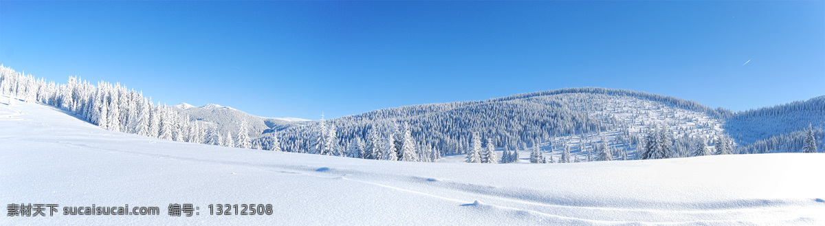 冬季 树林 雪景 美丽雪地风景 树林雪景 宽幅风景 冬季美景 冬天风景 景色 风景摄影 雪景图片 风景图片