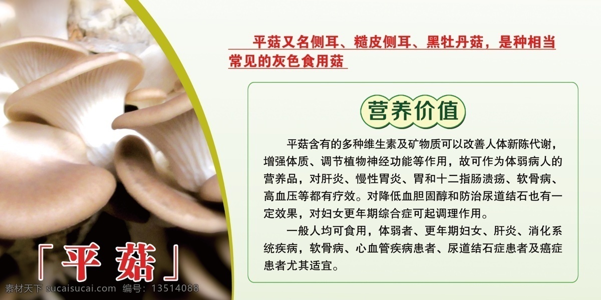 平菇 营养 价值 展板 平菇营养价值 蔬菜大棚 菌类 田园综合体 室外广告设计