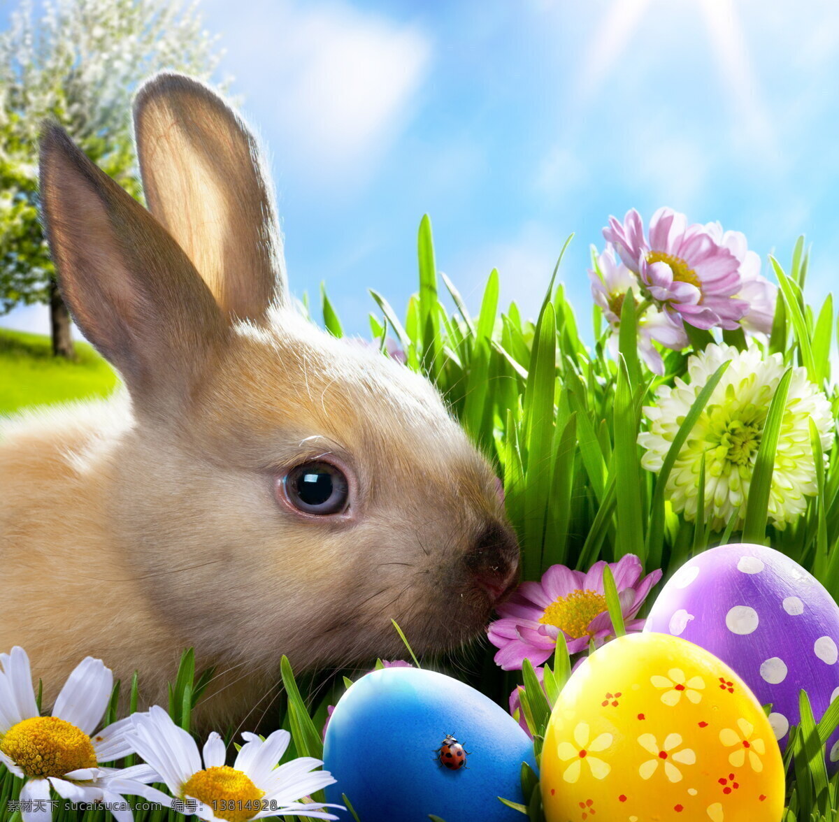 蓝天 白云 草原 草地 唯美 鸡蛋 篮子 彩蛋 小花 复活节 兔子 文化艺术 节日庆祝