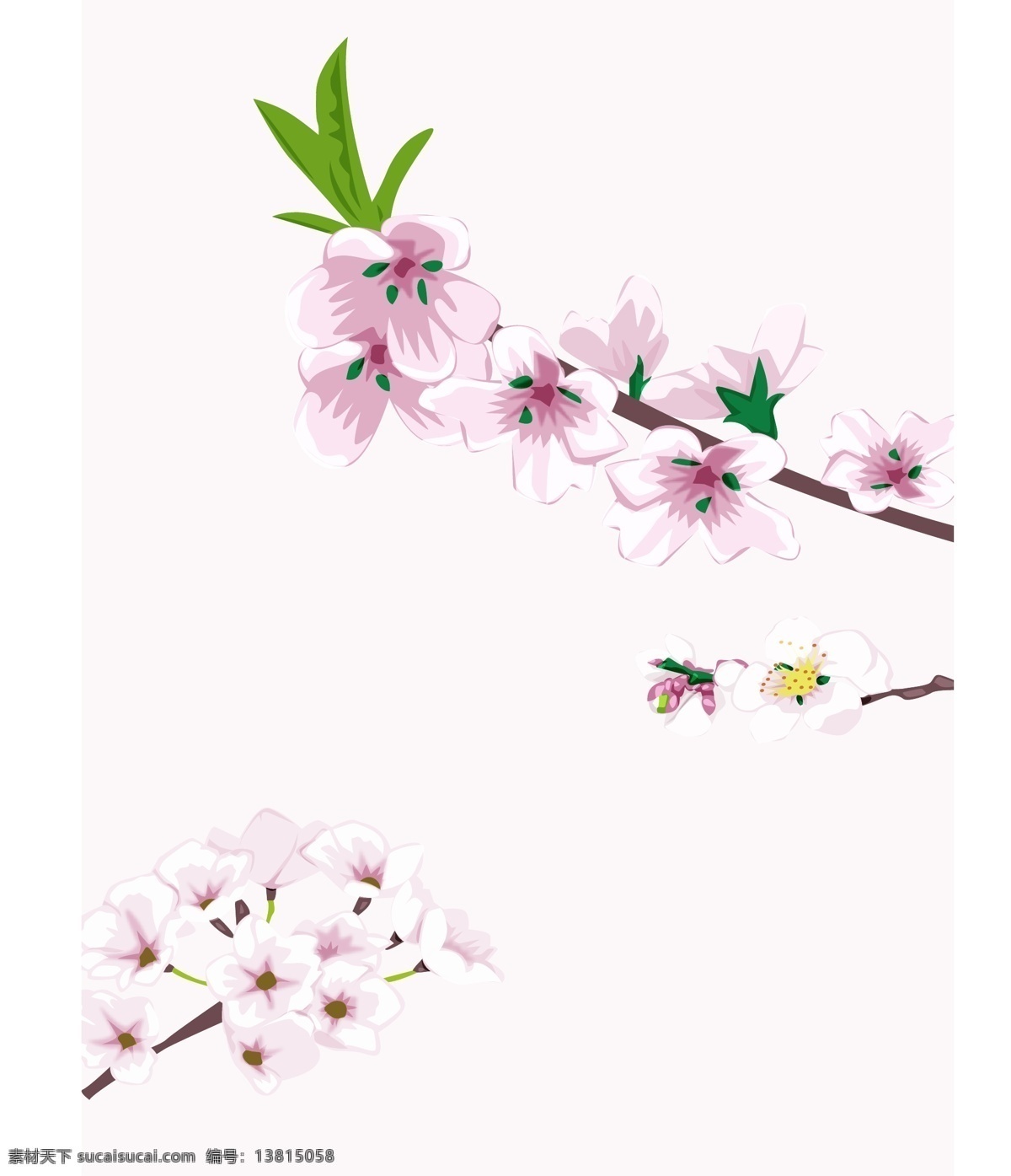 春意盎然 桃花 梨花 春天 绿叶 枝条 白色花 粉色花 白底 树木树叶 生物世界 矢量
