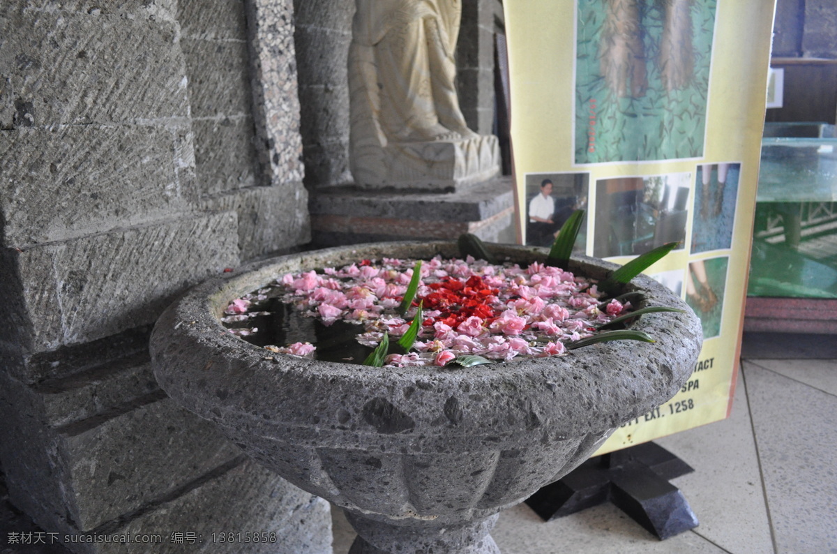 盆中之花 花朵 石头 石盆 国外 国外旅游 旅游摄影