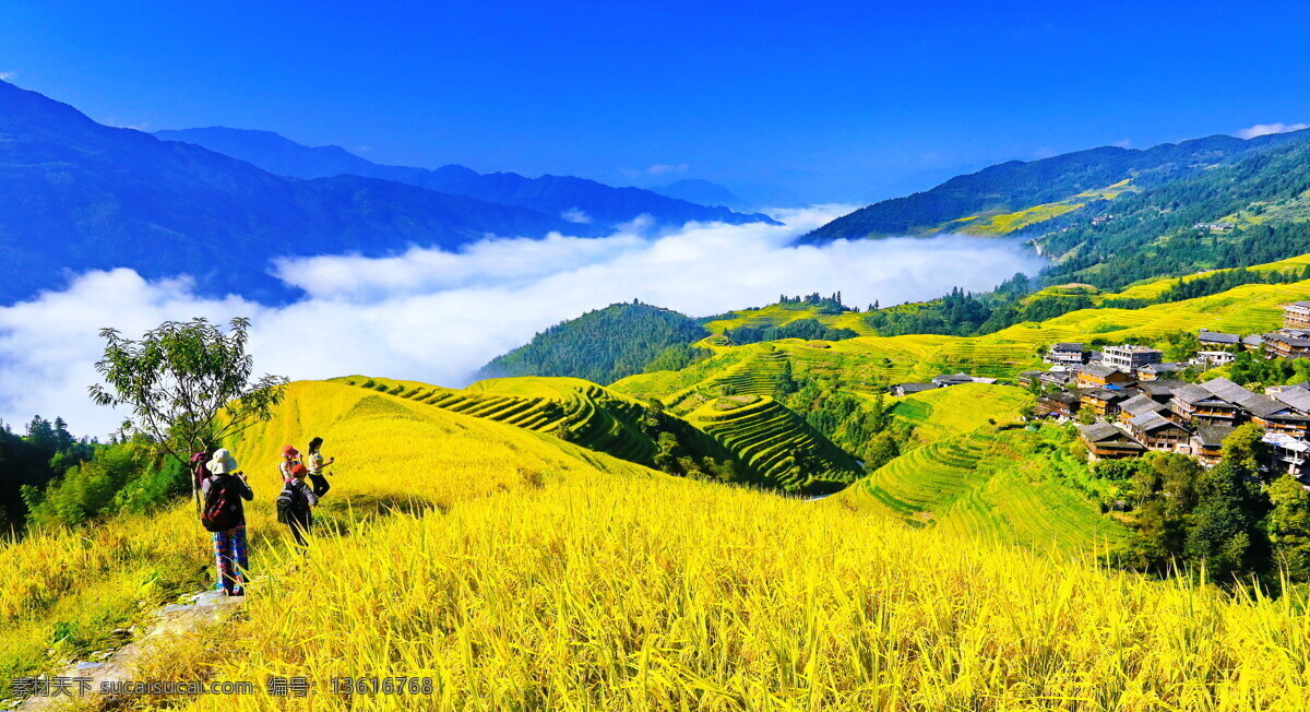 唯美 风景 风光 旅行 自然 广西 龙脊 龙脊梯田 美丽梯田 梯田 田园风光 乡村农田 旅游摄影 国内旅游