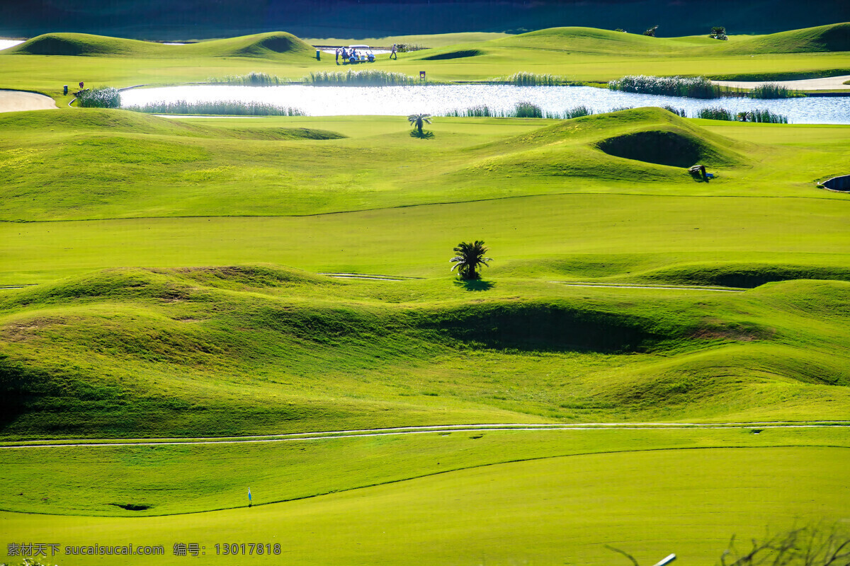 高尔夫球场 草坪 风景 草地 绿地 美丽风景 高尔夫俱乐部 自然风景 自然景观 黄色