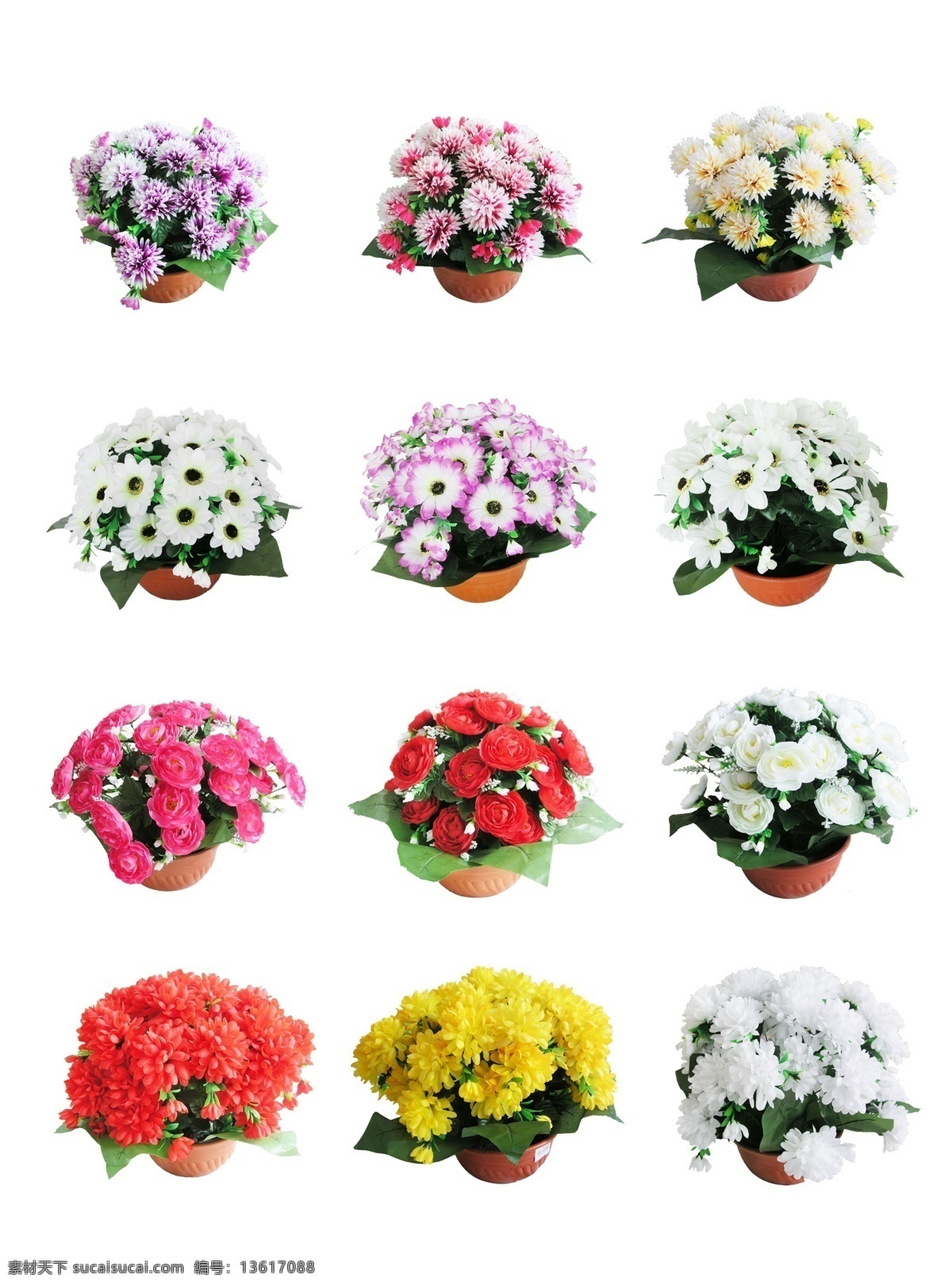 鲜花盆景 鲜花 盆景 红色 黄色 紫色 白色 花瓣 花朵 源文件库
