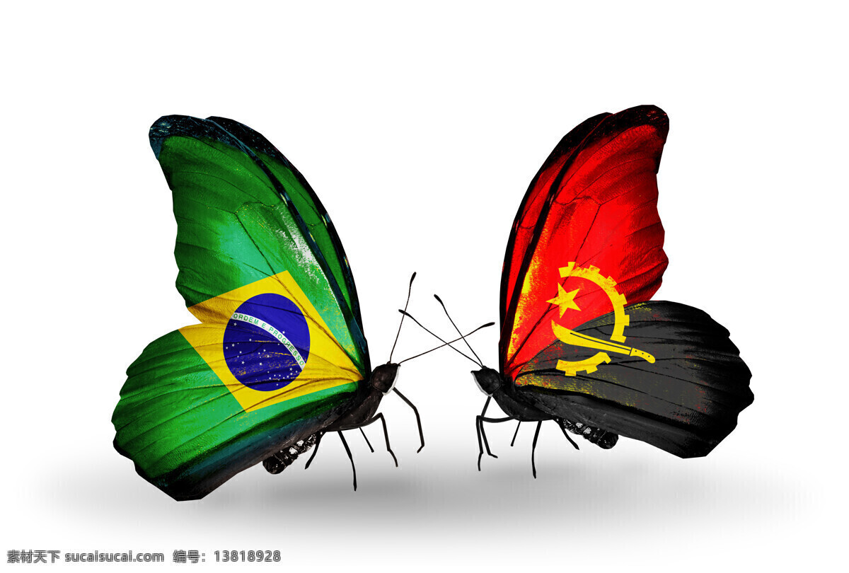 巴西 安哥拉 花朵 国旗 旗帜 国家标志 蝴蝶 国旗图片 生活百科