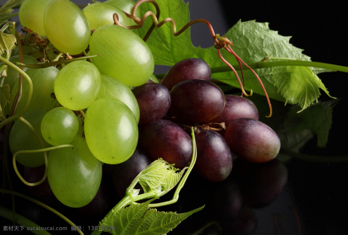 青 葡萄紫 葡萄 提子 新鲜水果 水果摄影 果实 水果蔬菜 餐饮美食 水果图片
