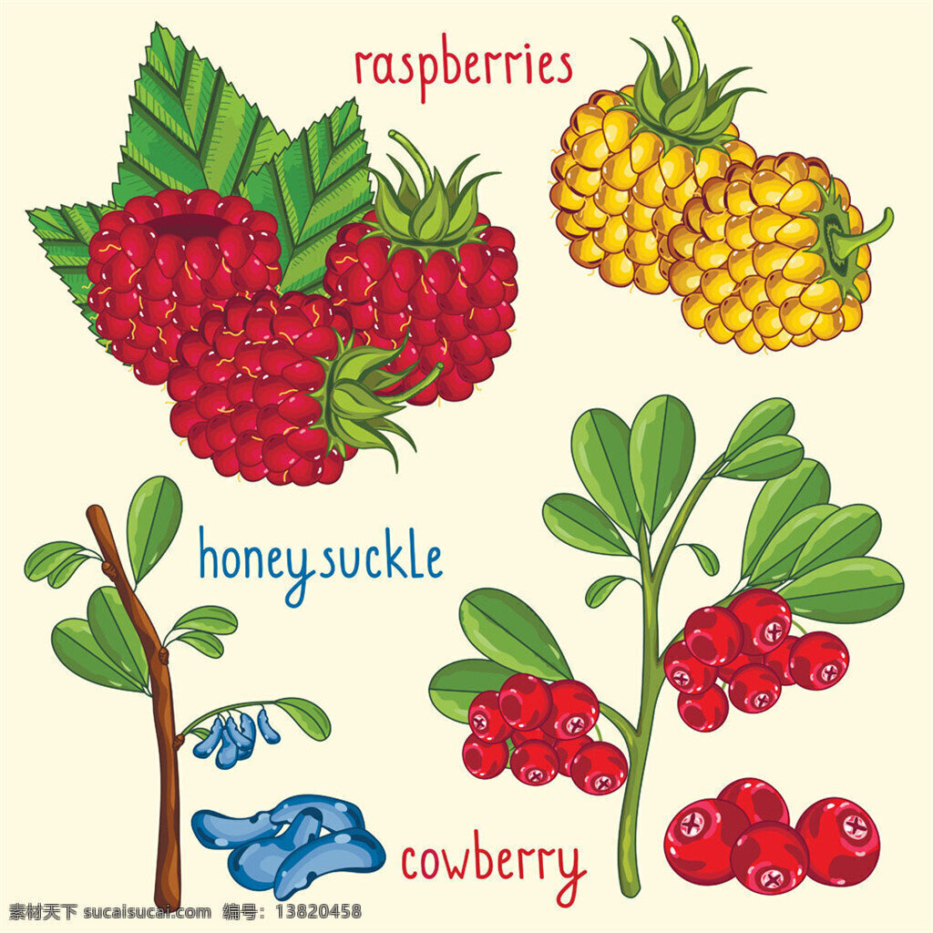 菠萝 红色 果子 卡通 食物 美食 卡通背景 蔬菜水果 生物世界 矢量素材 红色果子