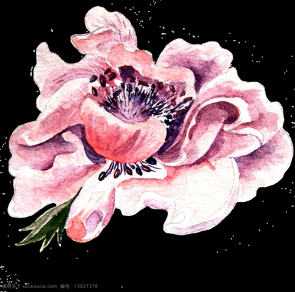 免 扣 逼真 插画 粉色 花瓣 花朵 花卉 卡通 蓝色 绿色 绿叶 手账素材 水彩 彩色 鲜花 合集 紫色 叶子 透明素材 装饰图案 淘宝
