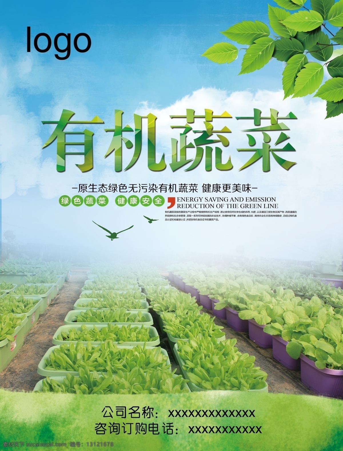蔬菜海报 新鲜蔬菜 蔬菜 蔬菜广告 有机蔬菜 蔬菜展板 蔬菜店海报 蔬菜店 蔬菜店展架 蔬菜挂画 蔬菜饮食 蔬菜灯箱 蔬菜超市 蔬菜市场 蔬菜展架 绿色蔬菜 西红柿海报 食堂 食堂海报 蔬菜店展板 蔬菜模板 蔬菜画 蔬菜图 白菜 包菜 西红柿 西兰花 食堂文化 菜谱 蔬菜创意 超市海报 超市展架