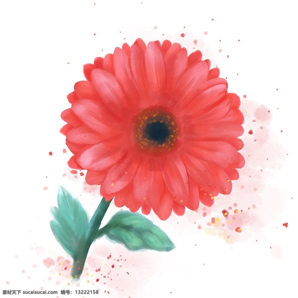 手绘 花 珊瑚 红 菊花 水彩 橘 色 花朵 手绘花 水彩花卉 手绘菊花 水彩晕染 珊瑚红菊花 珊瑚红 珊瑚橘 蓝绿色叶子