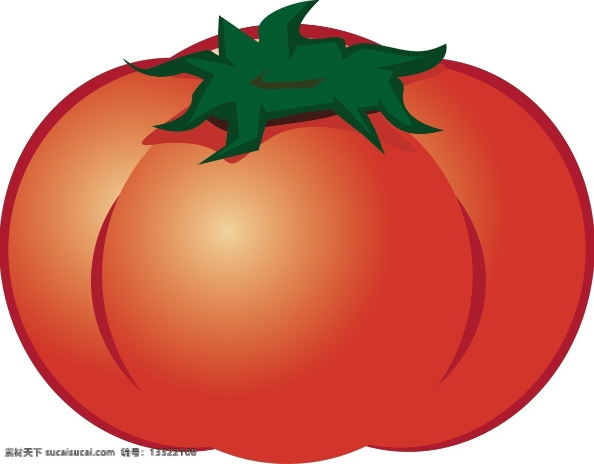 西红柿 矢量 番茄 生物 世界 矢量素材 矢量图 水果矢量图 其他矢量图