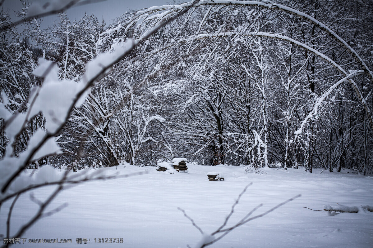 雪地 风景摄影 冬天雪景 冬季风景 雪地风景 树林风景 自然风景 美丽风景 美景 景色 山水风景 风景图片
