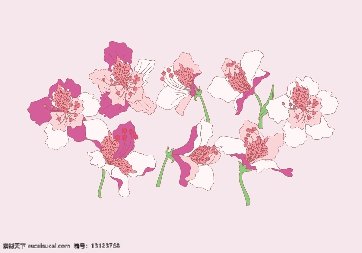 手绘 唯美 花卉 手绘花卉 花卉素材 手绘花朵 花卉花朵 矢量素材 手绘植物 花朵图标