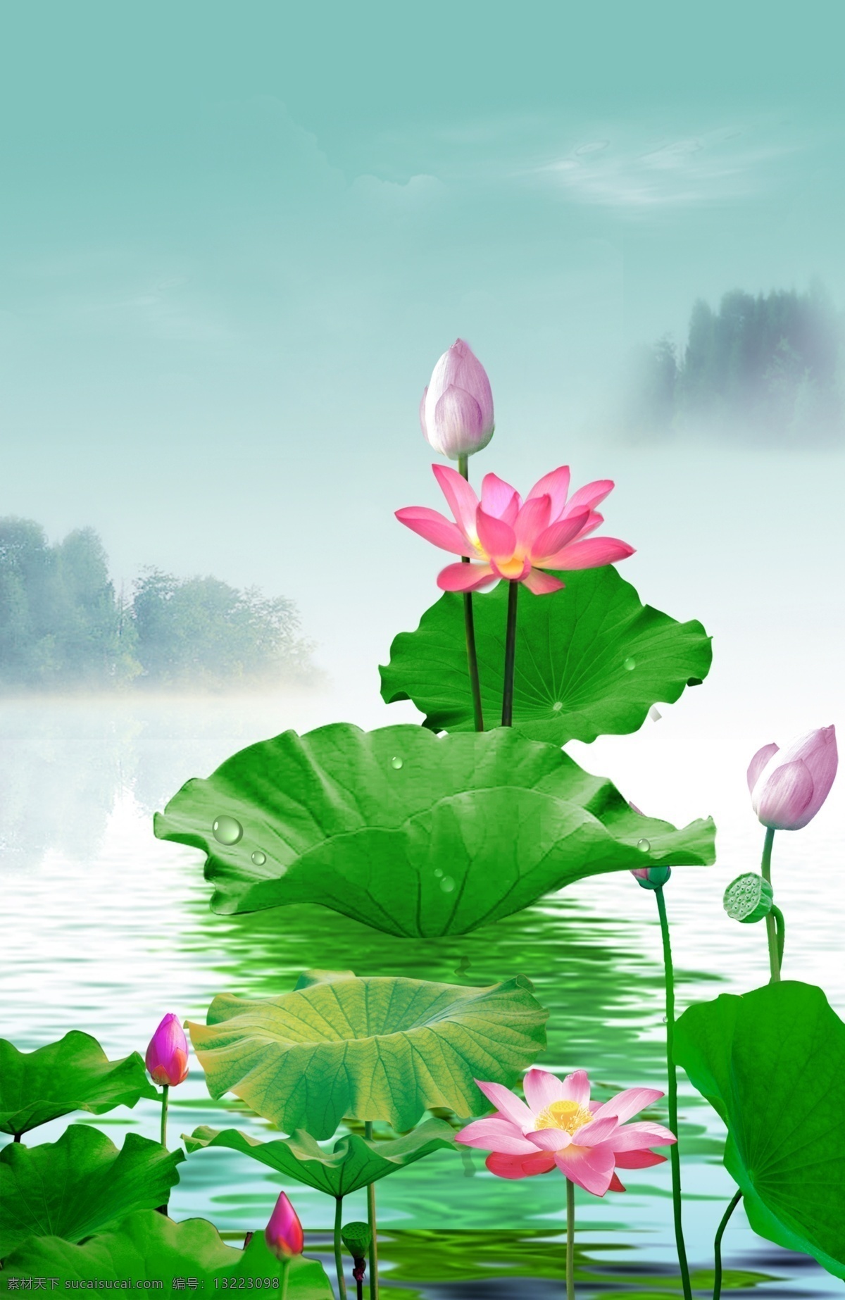 荷花背景 荷花 池汤 荷塘 荷花海报 中国风背景 水墨画背景 古风背景 夏至 处暑 小暑 大暑 出暑 出夏天 暑 立夏 廿四节气 传统节气 24节气 农历节气 夏天 背景