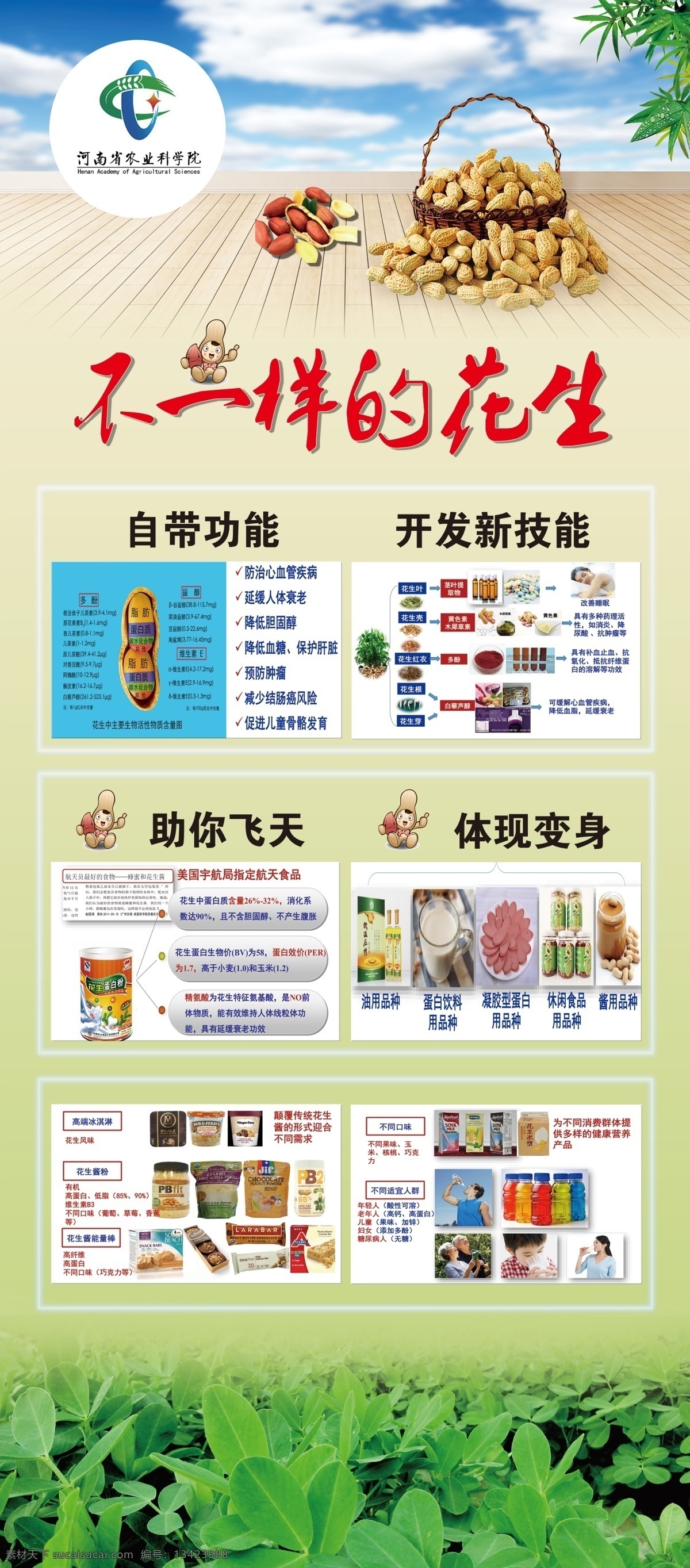 农业展架 花生 花生种植 农业 蓝天白云 农产品