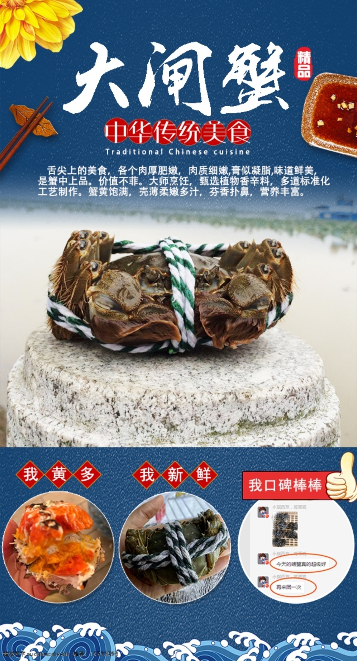 大闸蟹 推广 海报 蓝色 精致 比较图 高清精美素材