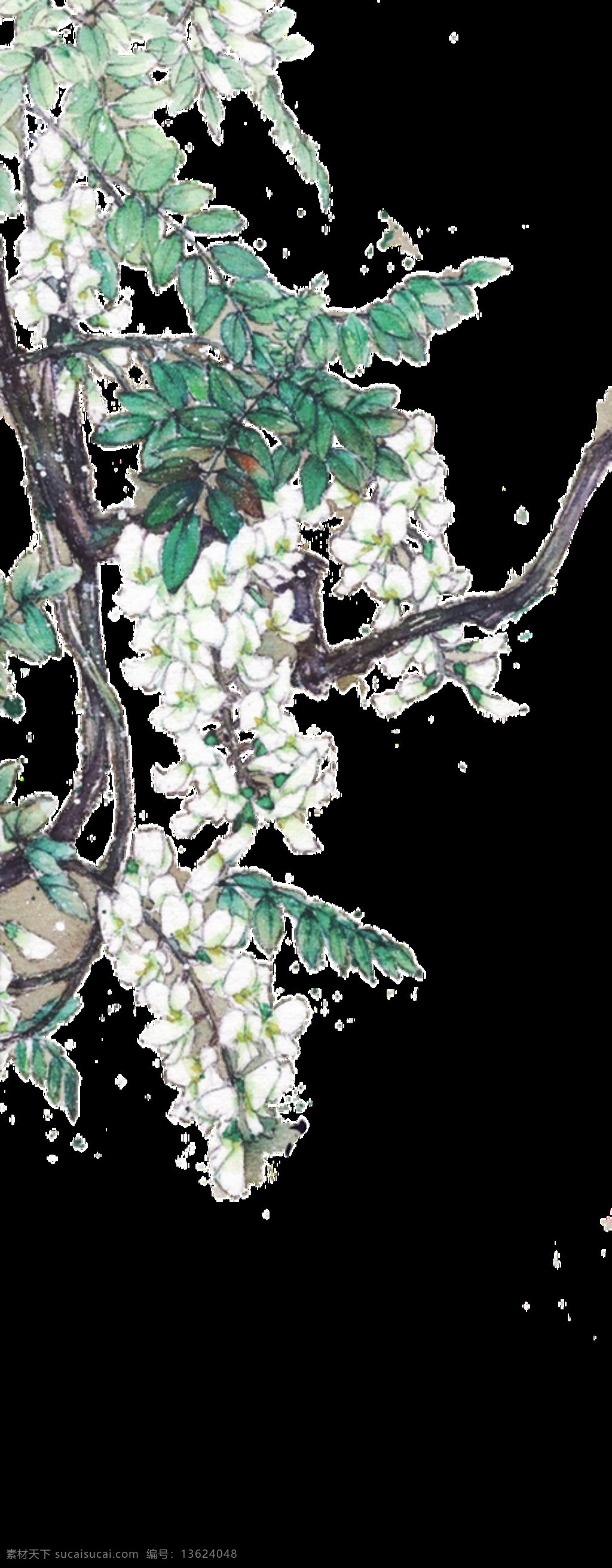 朗朗 夏日 透明 装饰 png素材 黑色 绿色 免扣素材 生机 水墨 植物