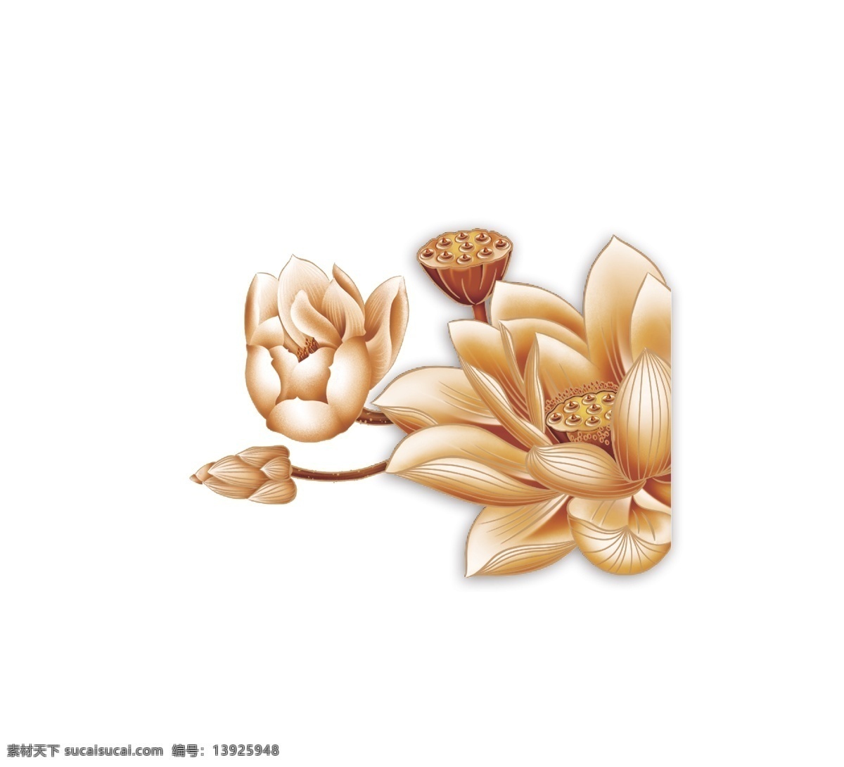 莲花矢量图 中秋 节日 莲花 莲藕 中秋节日 矢量图 其他矢量图