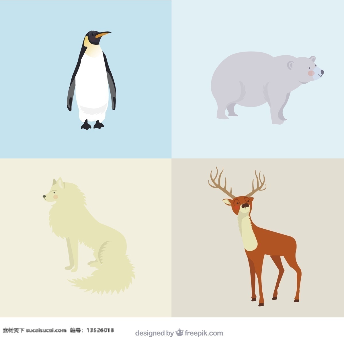 北极 动物 种类 自然 可爱 熊 鹿 狼 驯鹿 企鹅 插图 可爱的动物 北极熊 品种 白色
