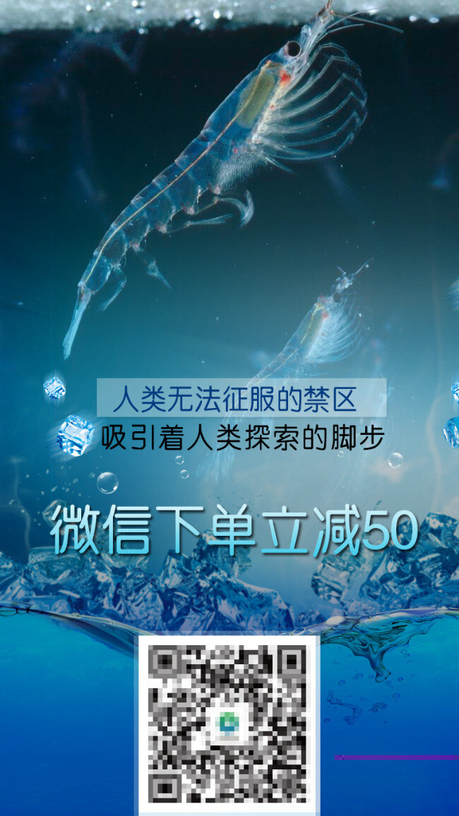 磷虾设计海报 南极磷虾 虾 磷虾易拉宝 青色 天蓝色