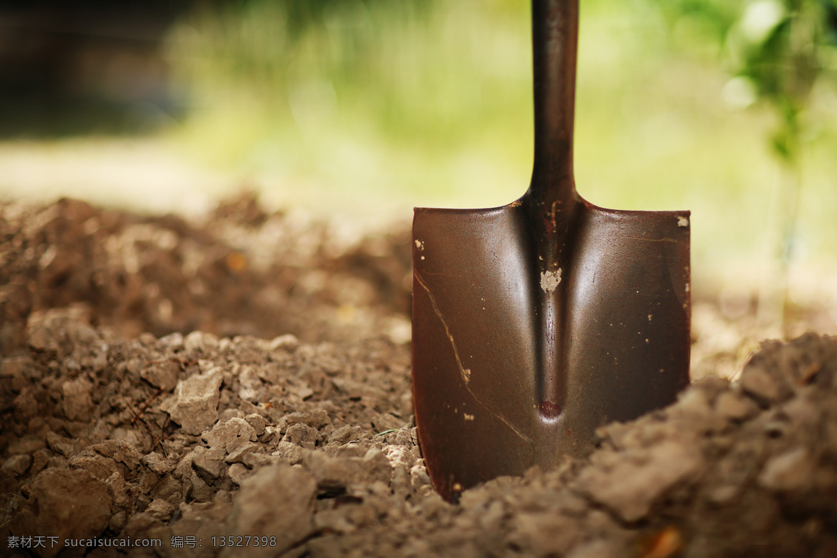 铁锹 铲子 土壤 园艺工具 其他类别 生活百科