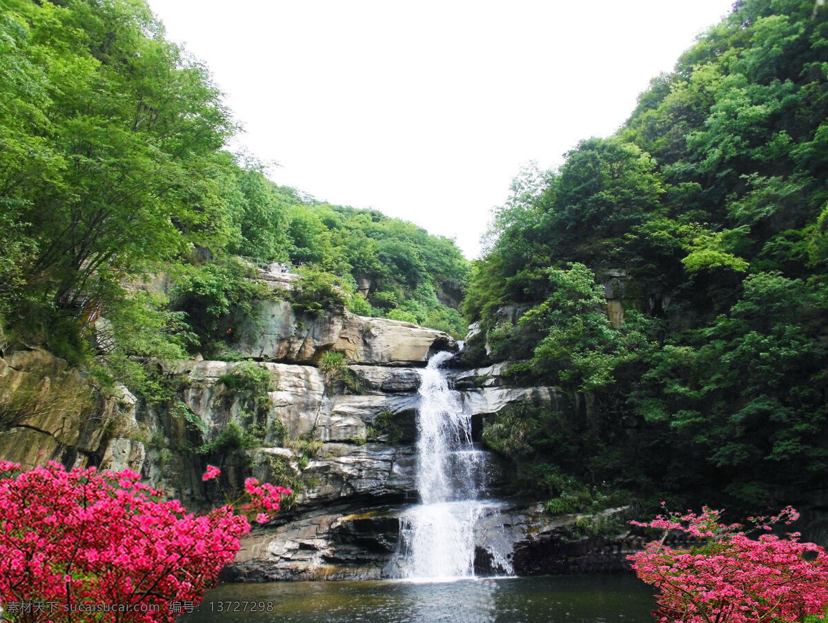 杜鹃花溪瀑布 瀑布 杜鹃花 山泉 小溪 青山绿水 山水风景 自然景观