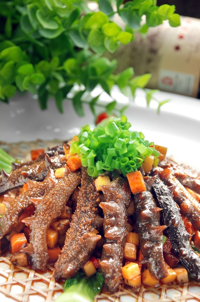 香 绍 干 烧 辽 参 香绍干烧辽参 美食 传统美食 餐饮美食 高清菜谱用图