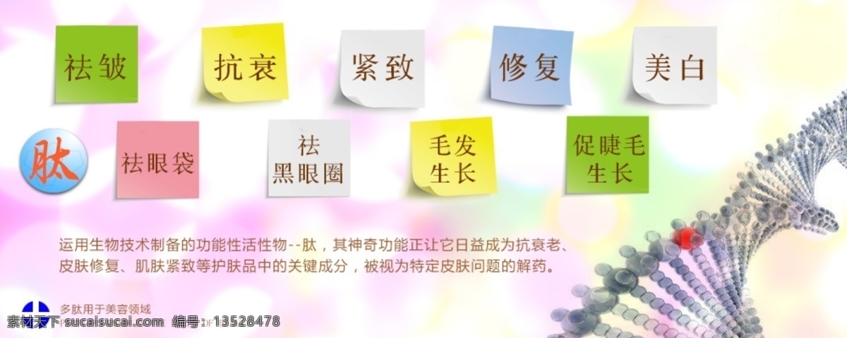 手机 客户端 美容 领域 海报 宣传 白色